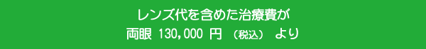 Y܂߂Ô  130,000 ~iōj